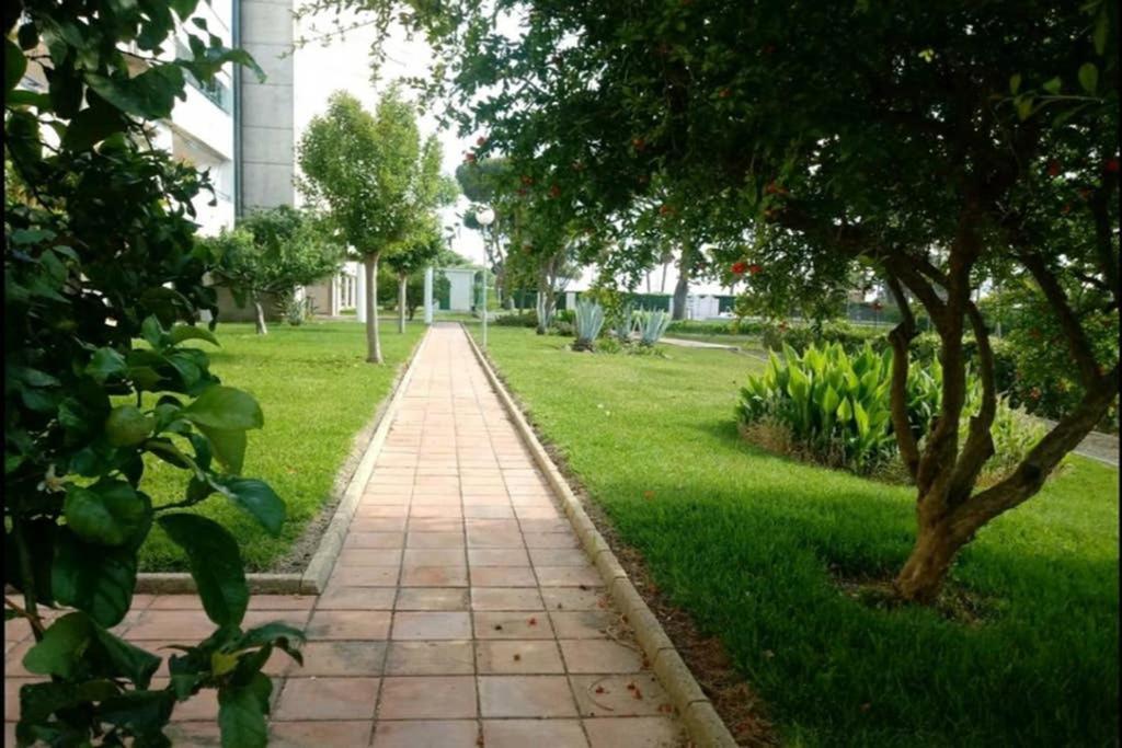 Appartement Arabia's Loft Ii Nuevo Portil
